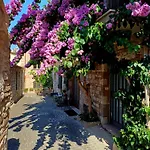 בית נופש La Bouganville