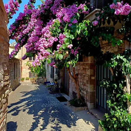 度假居 La Bouganville