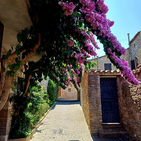 La Bouganville