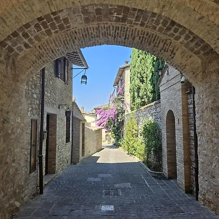 La Bouganville