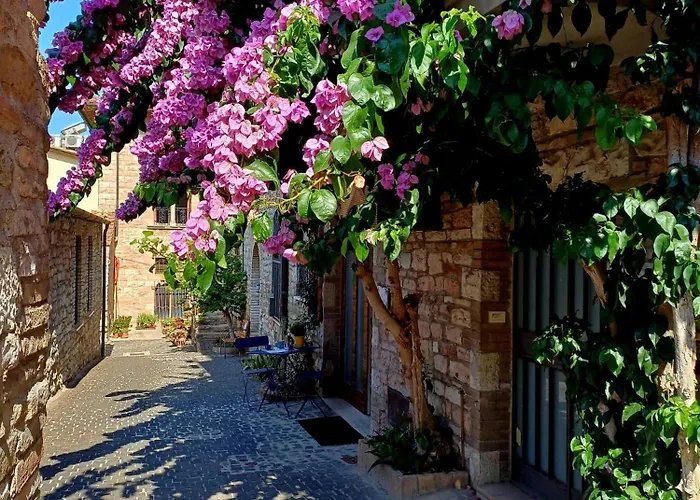 Сasa de vacaciones La Bouganville